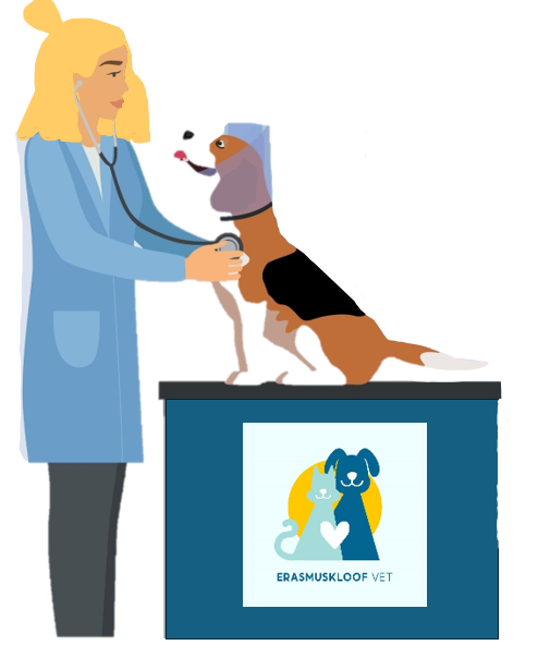 Pet Consultation