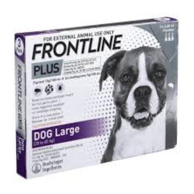 Frontline